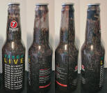 Vasco Live Aluminum Bottle