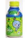 Qoo Aluminum Bottle