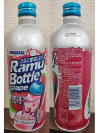 Ramu Aluminum Bottle