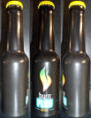 Burn Plus Orange Aluminum Bottle