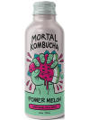 Mortal Kombucha Aluminum Bottle