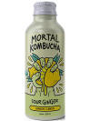 Mortal Kombucha Aluminum Bottle