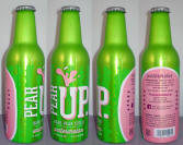 Pear Up Watermelon Aluminum Bottle