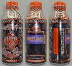 Sun King Aluminum Bottle